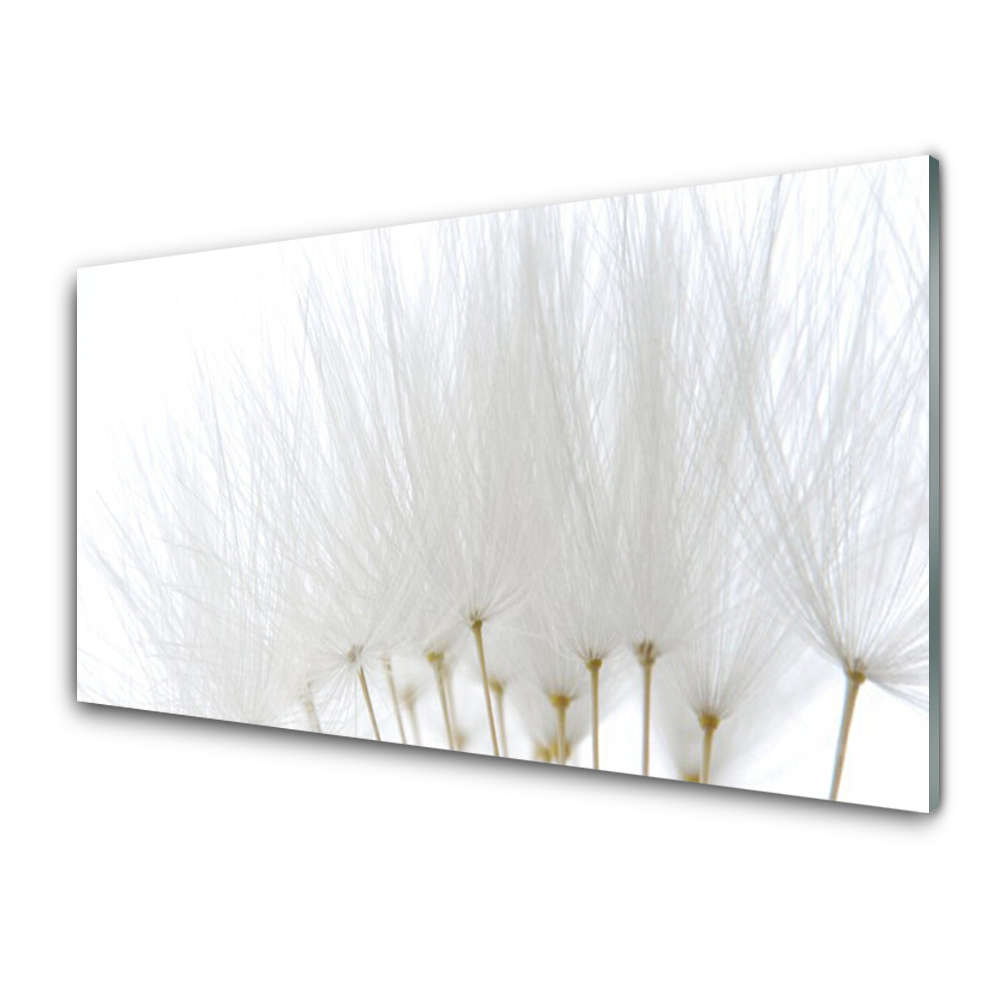 Panou sticla bucatarie Flori Floral alb