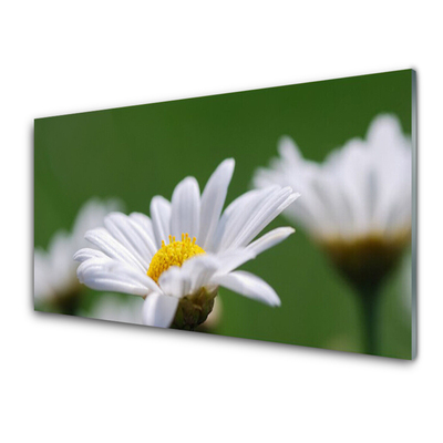 Panou sticla bucatarie Daisy Floral Alb Galben Verde