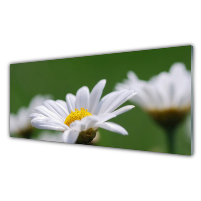 Panou sticla bucatarie Daisy Floral Alb Galben Verde