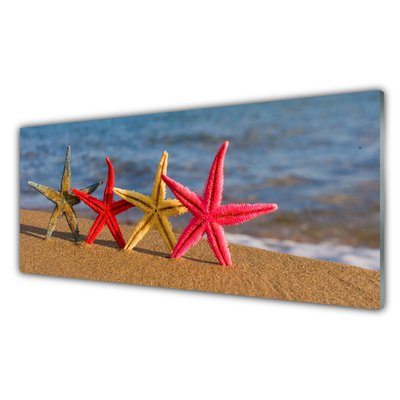 Panou sticla bucatarie Plaja Starfish Art Multi