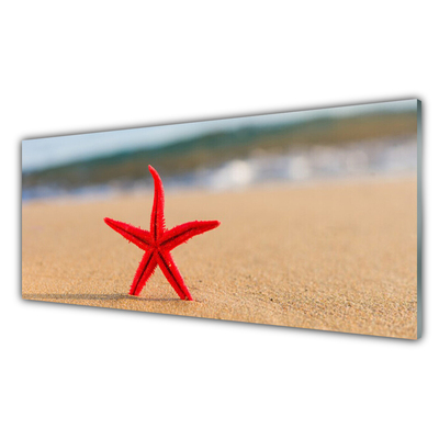 Panou sticla bucatarie Plaja Starfish Art Red