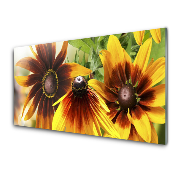 Panou sticla bucatarie Flori Floral Brown Galben