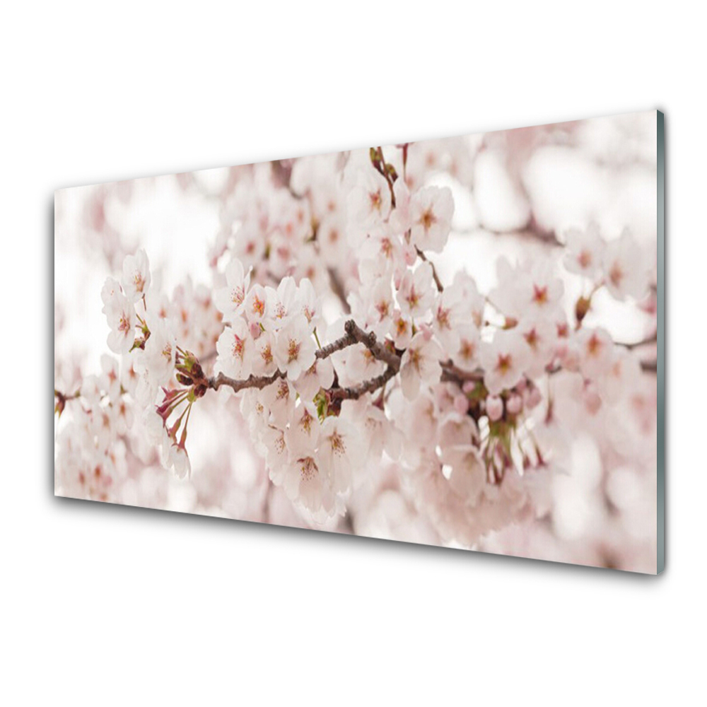 Panou sticla bucatarie Flori Floral alb