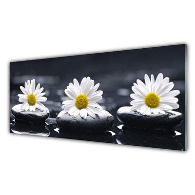 Panou sticla bucatarie Daisy pietre Floral Galben Alb Negru