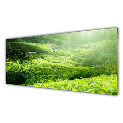 Panou sticla bucatarie Meadow Natura verde