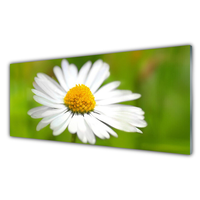 Panou sticla bucatarie Daisy Floral Galben Alb