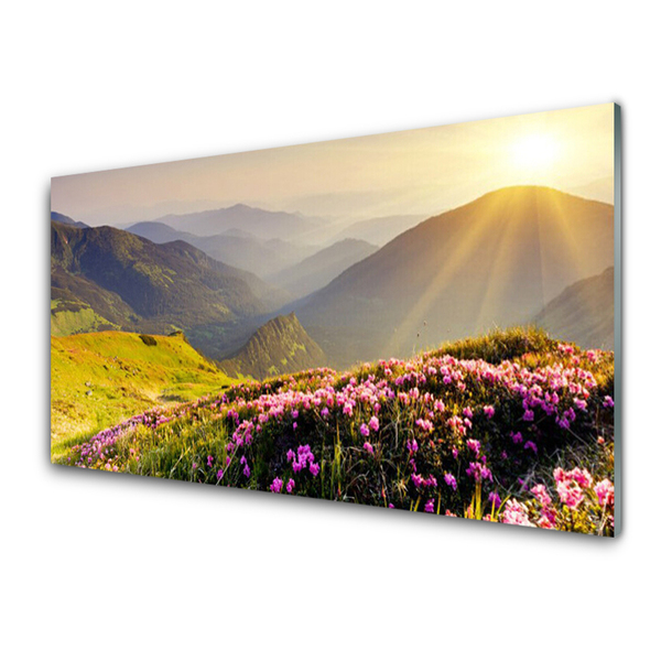 Panou sticla bucatarie Mountain Meadow Peisaj Verde Roz Gri
