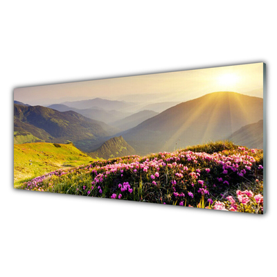 Panou sticla bucatarie Mountain Meadow Peisaj Verde Roz Gri