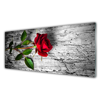 Panou sticla bucatarie Rose Floral Roșu Verde