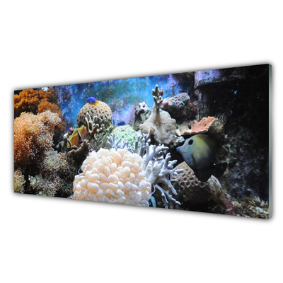 Panou sticla bucatarie Coral Reef Natura Gri Alb Galben