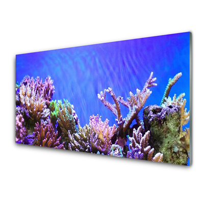 Panou sticla bucatarie Coral Reef Natura Multi