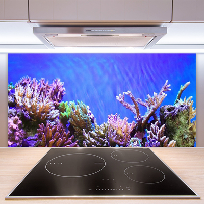 Panou sticla bucatarie Coral Reef Natura Multi