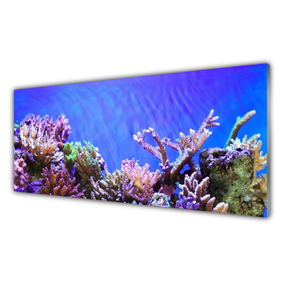 Panou sticla bucatarie Coral Reef Natura Multi