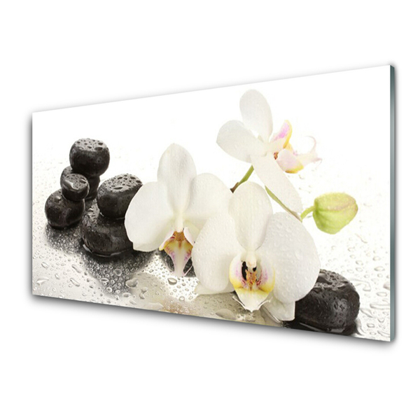 Panou sticla bucatarie Pietre florale flori alb negru