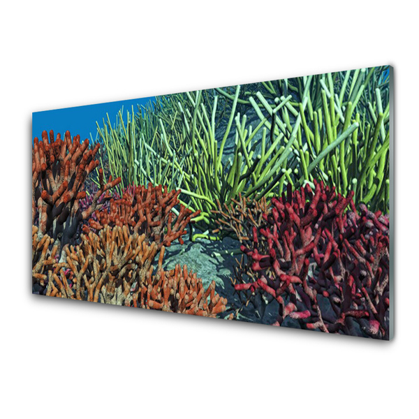 Panou sticla bucatarie Coral Reef Natura Multi