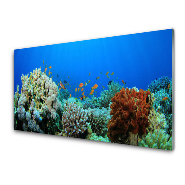 Panou sticla bucatarie Coral Reef Natura Multi