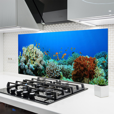 Panou sticla bucatarie Coral Reef Natura Multi