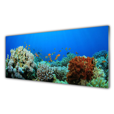 Panou sticla bucatarie Coral Reef Natura Multi