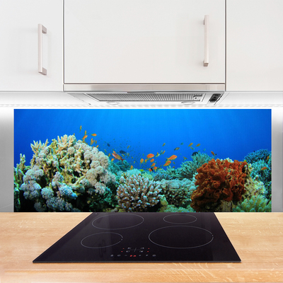 Panou sticla bucatarie Coral Reef Natura Multi