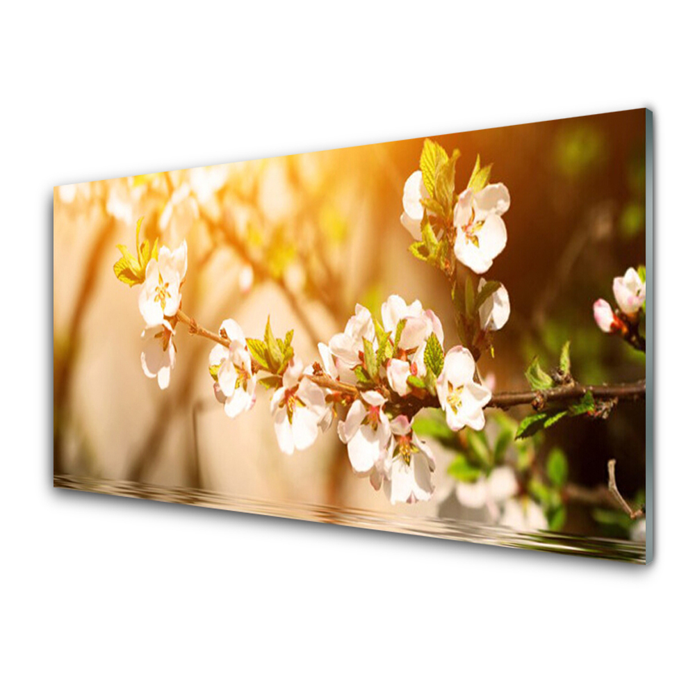 Panou sticla bucatarie Flori Floral alb