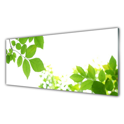Panou sticla bucatarie Petale Floral Alb Verde