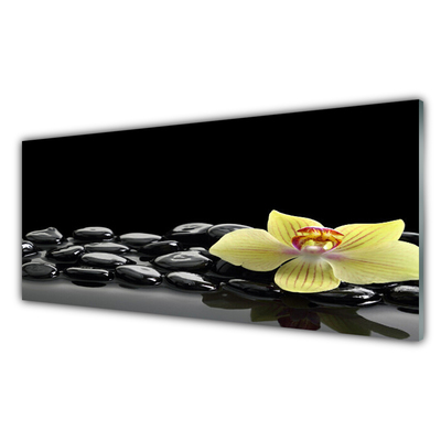 Panou sticla bucatarie Pietre de flori Bucătărie Galben Negru