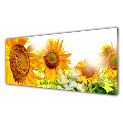 Panou sticla bucatarie Floarea soarelui Floral Galben Maro