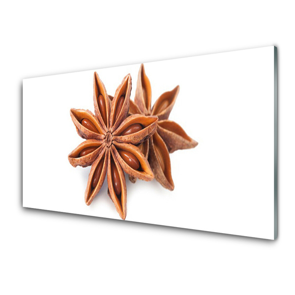 Panou sticla bucatarie Cinnamon Brown Floral