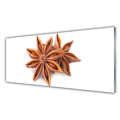 Panou sticla bucatarie Cinnamon Brown Floral