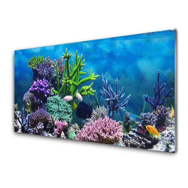 Panou sticla bucatarie Coral Reef Natura Multi