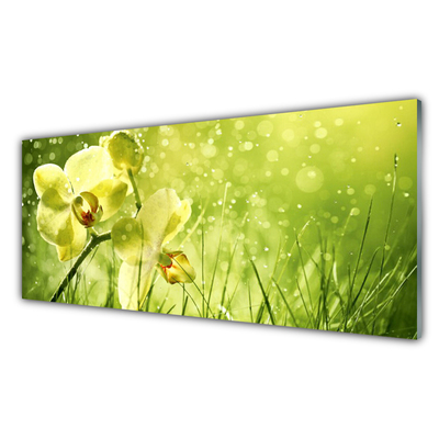 Panou sticla bucatarie Iarbă Flori Floral Verde