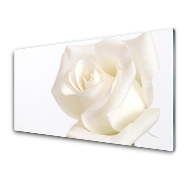 Panou sticla bucatarie Rose Floral alb