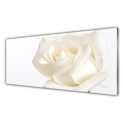 Panou sticla bucatarie Rose Floral alb