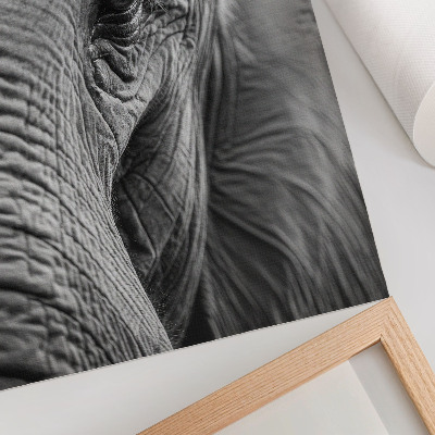 Poster în culori saturate Un ochi de elefant plin de texturi, armonie și pace.