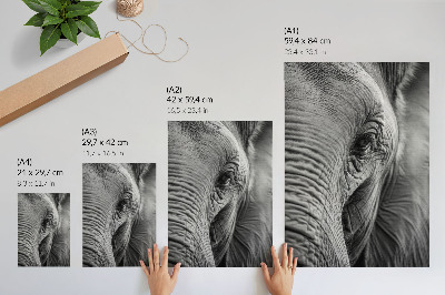 Poster în culori saturate Un ochi de elefant plin de texturi, armonie și pace.