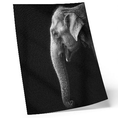 Grafică modernă pe pânză Portret monocrom al unui elefant în profil