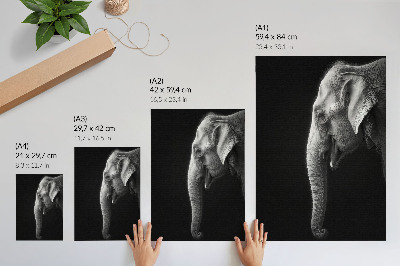 Grafică modernă pe pânză Portret monocrom al unui elefant în profil