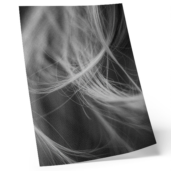 Poster în culori saturate Linii delicate, stil abstract modern