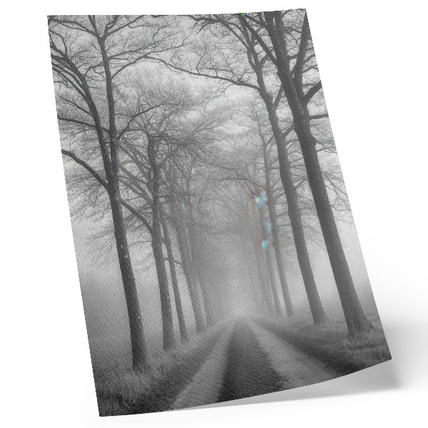 Poster rezistent pentru perete Aleea Copacilor Cețoși Minimalism Modern
