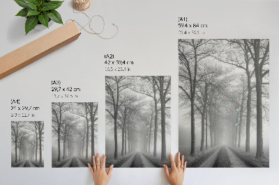 Poster rezistent pentru perete Aleea Copacilor Cețoși Minimalism Modern