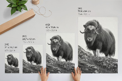 Poster în culori saturate Alb-negru animal natură crudă eleganță