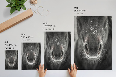 Poster în culori saturate Prim-plan fotorealistă a feței unui cal în zăpadă