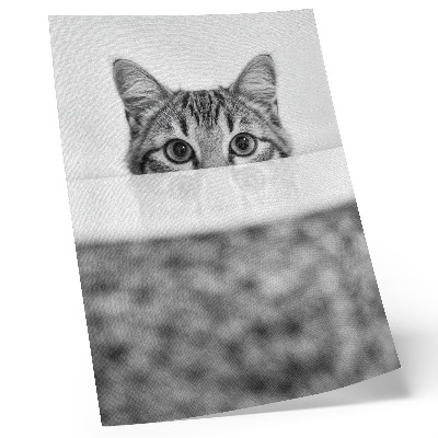 Poster rezistent pentru perete Pisică în spatele suprafeței, minimalism alb-negru