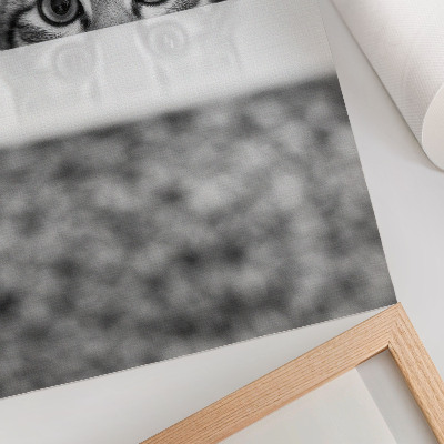 Poster rezistent pentru perete Pisică în spatele suprafeței, minimalism alb-negru