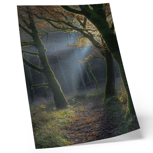 Grafică modernă pe pânză Pădure magică, lumină de toamnă, atmosferă liniștită