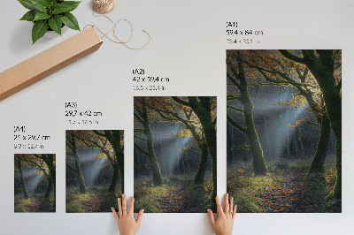 Grafică modernă pe pânză Pădure magică, lumină de toamnă, atmosferă liniștită