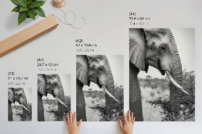 Grafică modernă pe pânză Elefant prim-plan frumusețe naturală armonie de texturi
