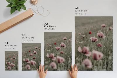 Poster rezistent pentru perete Maci pastelați, atmosferă romantică, flori subtile