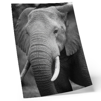 Grafică modernă pe pânză Prim-planul unui elefant plin de pace și putere