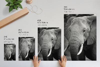 Grafică modernă pe pânză Prim-planul unui elefant plin de pace și putere